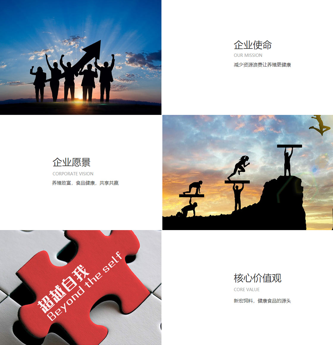伟德1949官网(图1)